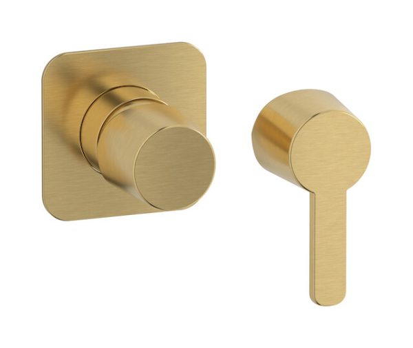 Miscelatore doccia una via colore oro spazzolato serie Taac - IB