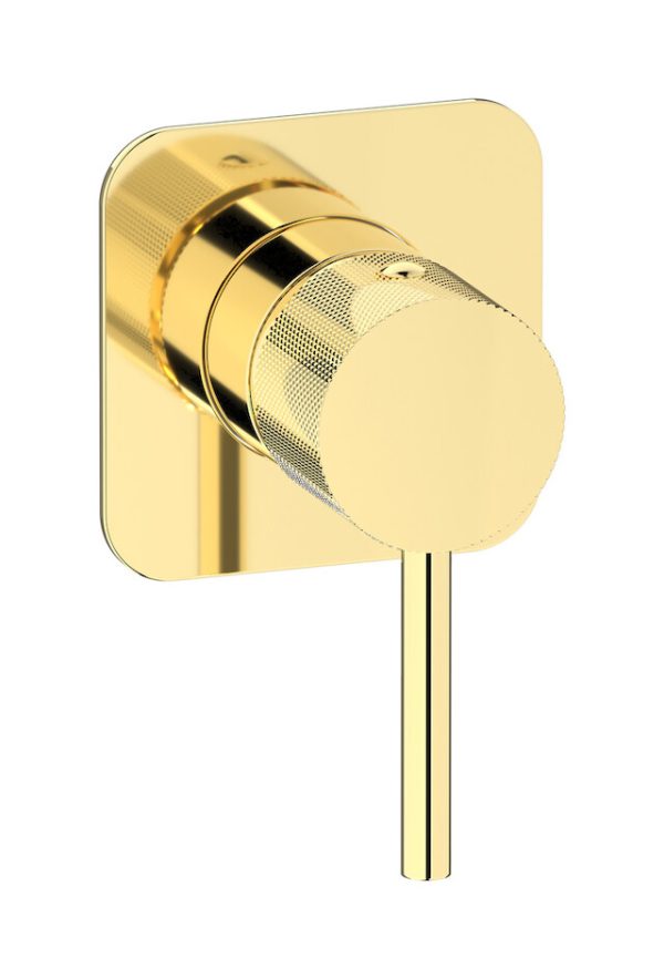 Miscelatore doccia una via colore oro inglese serie industria Ib